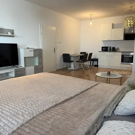 Daire Excelsior Graz